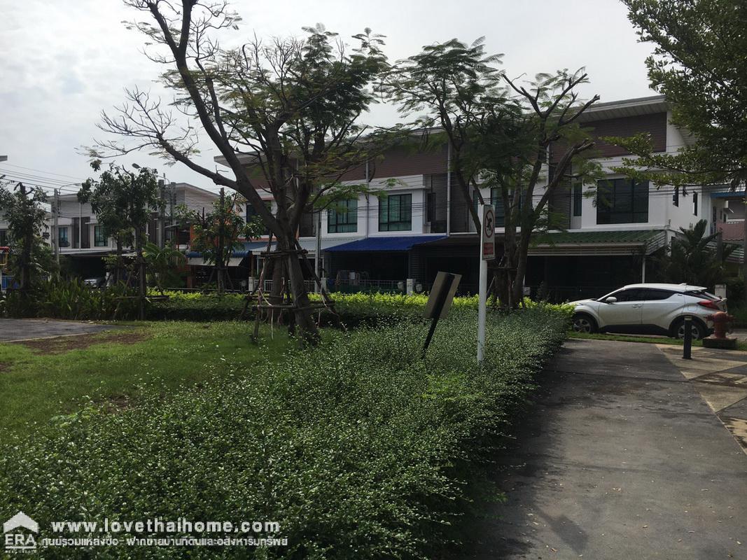 ขายบ้านทาวน์เฮ้าส์ ม.โมดิ วิลล่า ปิ่นเกล้า–วงแหวน (Modi Villa Pinklao-Wongwaen) พื้นที่18.8ตรว. อยู่ตรงข้ามกับสวน ใกล้ ร.ร.เทพศิรินทร์นนทบุรี