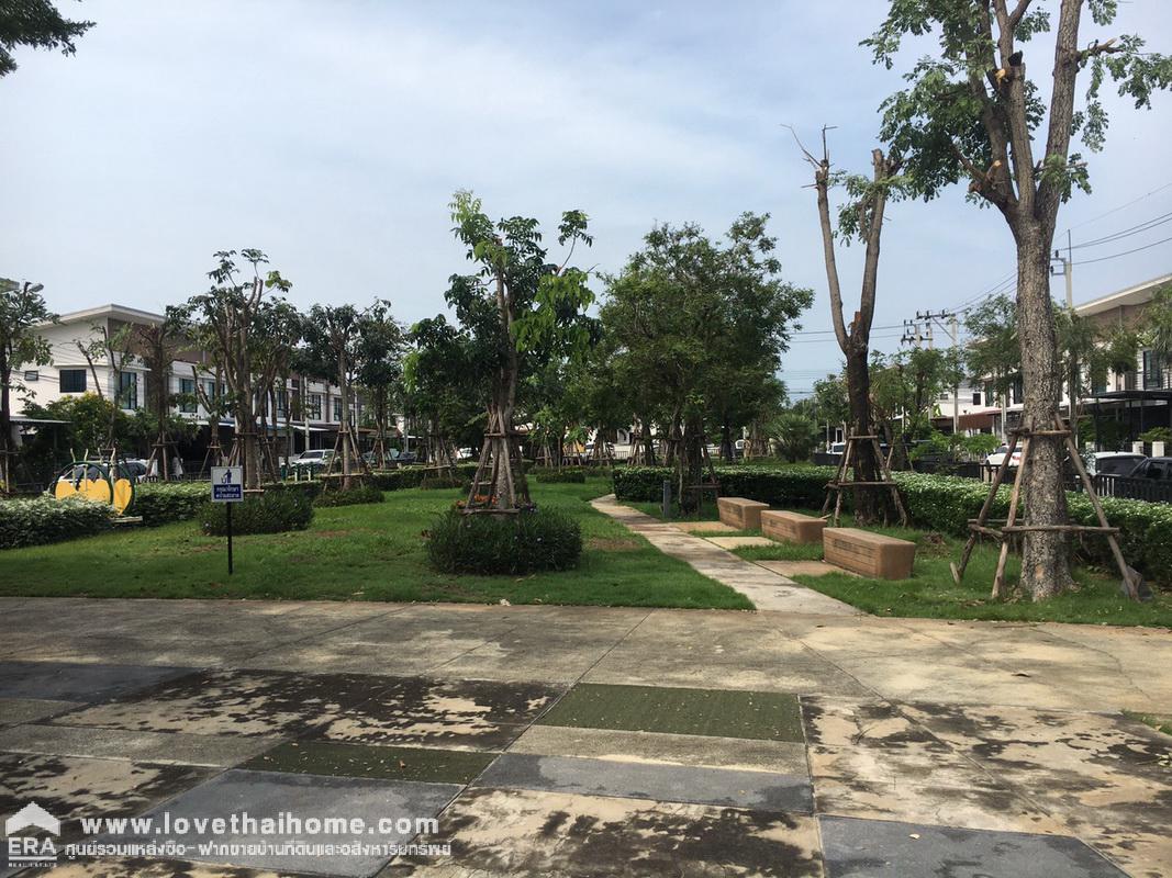 ขายบ้านทาวน์เฮ้าส์ ม.โมดิ วิลล่า ปิ่นเกล้า–วงแหวน (Modi Villa Pinklao-Wongwaen) พื้นที่18.8ตรว. อยู่ตรงข้ามกับสวน ใกล้ ร.ร.เทพศิรินทร์นนทบุรี