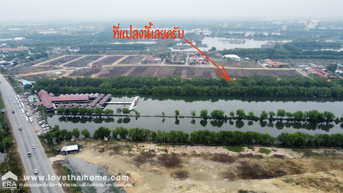 ขายที่ดินแปลงใหญ่ติดถนนบางขุนเทียน-ชายทะเล พื้นที่11-2-56.7ไร่ ใกล้เซ็นทรัลพระราม2 เพียง 10 นาที ราคาต่อรองกับเจ้าของได้อีก ที่ดินเป็นพื้นที่สีเขียว แปลงใหญ่ทำเลดี เพียบพร้อมในหลายๆด้าน เหมาะกับทำบ้านจัดสรร ร้านอาหาร หรือเก็งกำไรในอนาคต ใกล้ทางด่วน