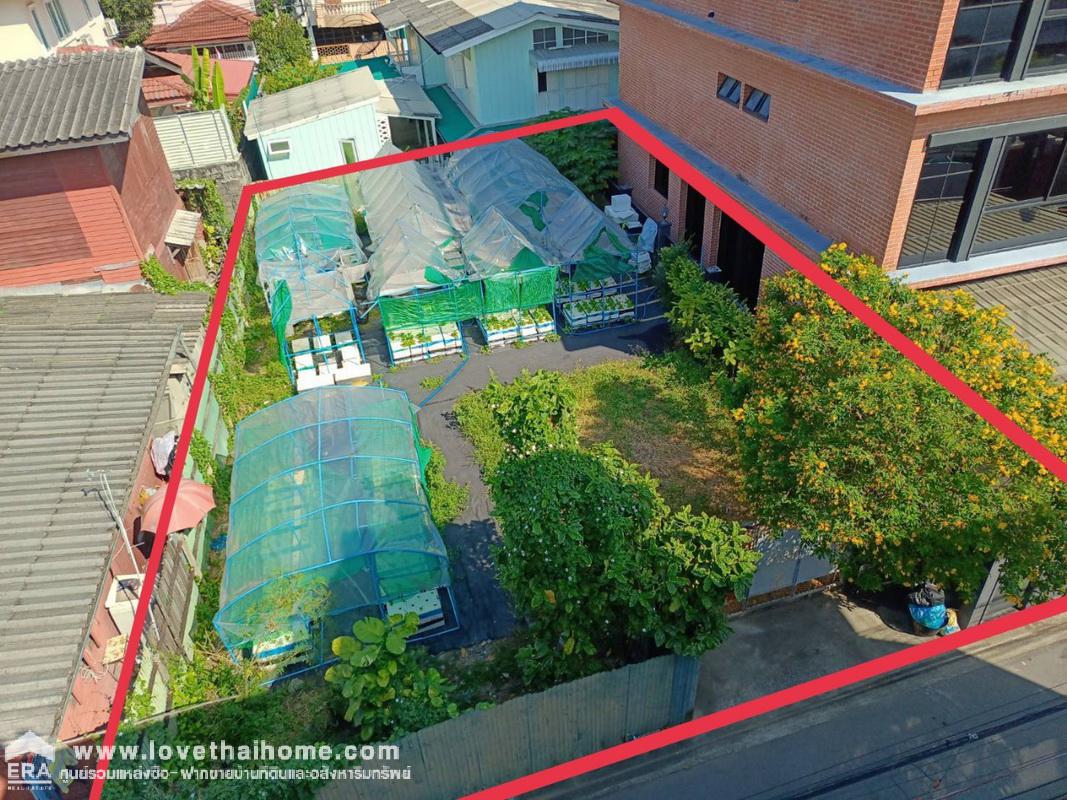 ขายที่ดิน ซอยกรุงเทพ-นนท์31 พื้นที่59ตรว. MRT บางซ่อน ประมาณ 550 เมตร ที่สวยราคาถูก เหมาะสร้างบ้านเพื่ออยู่อาศัย