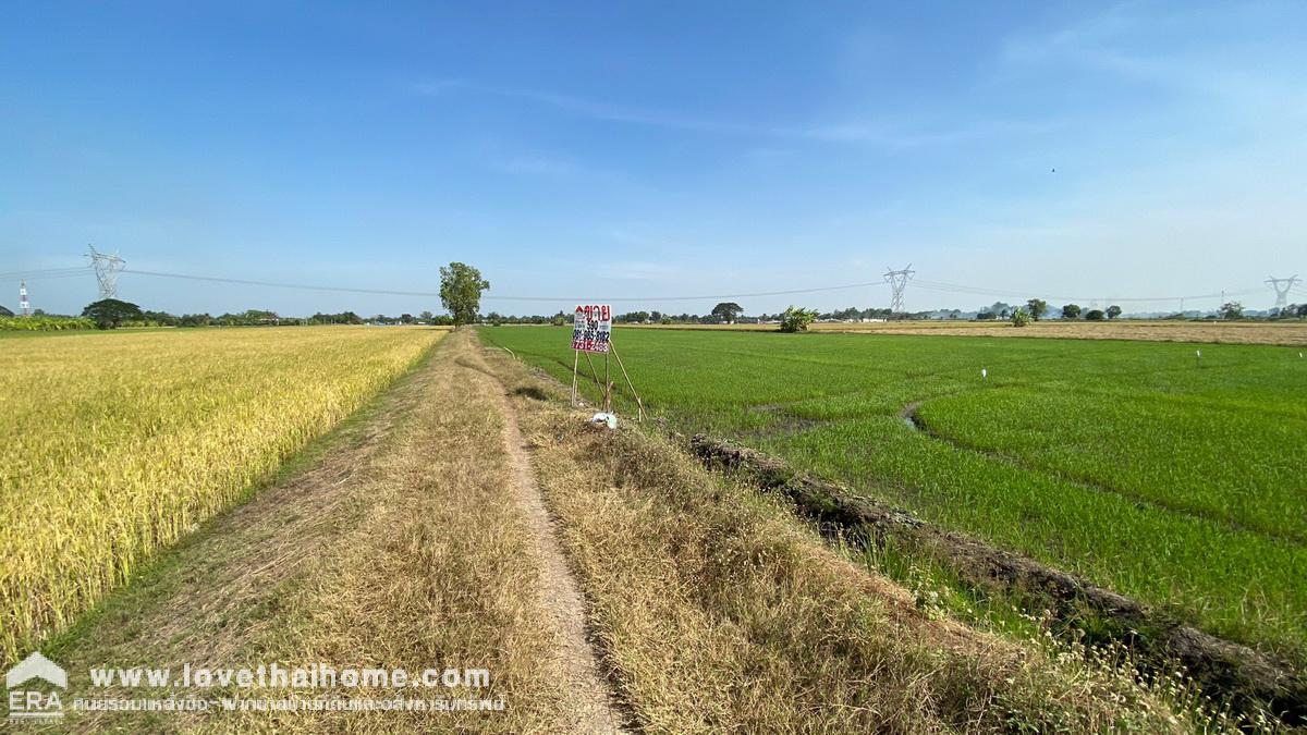 ขายที่ดินเปล่าหนองเสือ ปทุมธานี ซอยอินทร์อนุสรณ์ รูปแปลงสวย เนื้อที่ 590 ตร.ว. ขายถูกมาก ขายเท่าราคาประเมิน เพียง708,000บาท ใกล้สถานีตำรวจภูธรอำเภอหนองเสือ