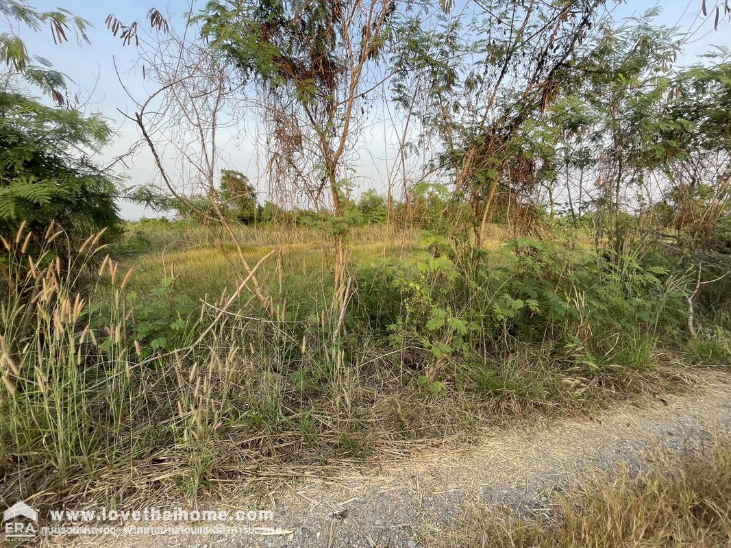 ขายที่ดิน ถ.รังสิต-นครนายก ในอำเภอองครักษ์ จังหวัดนครนายก พื้นที่3ไร่ ขายถูกกว่าราคาตลาด