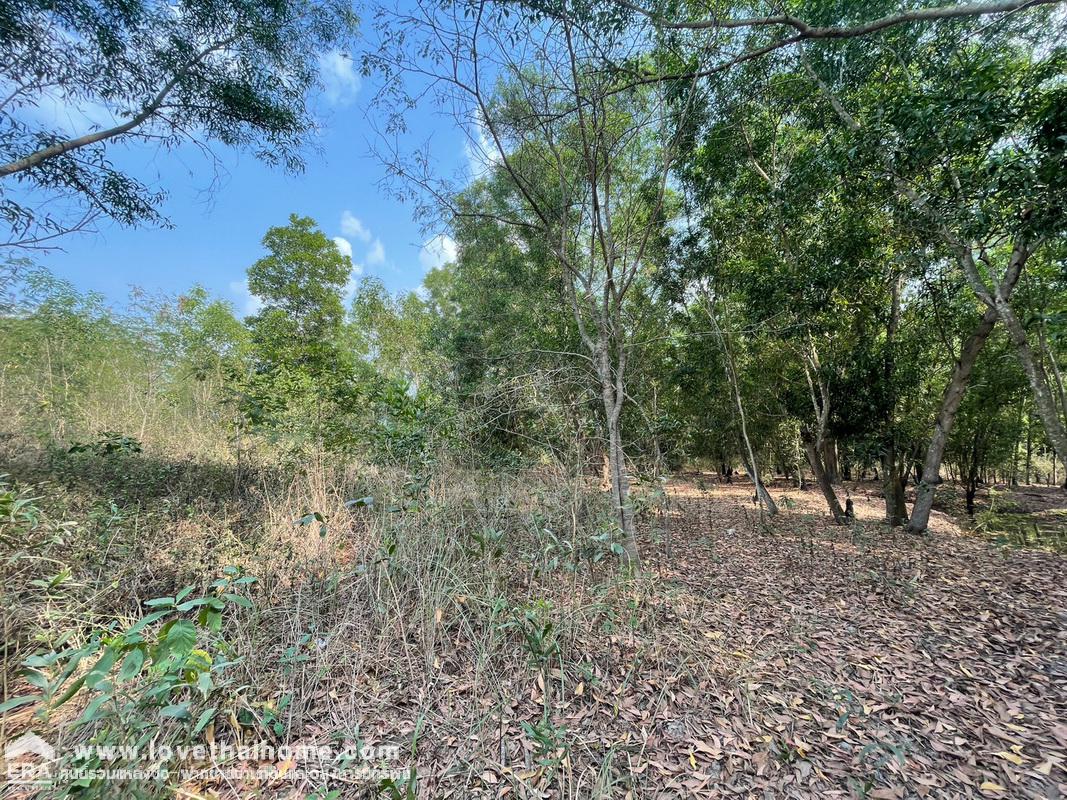 ขายที่ดิน ใกล้ที่ทำการ อบต.หนองโรง อำเภอหนองแค สระบุรี พื้นที่4ไร่ ขายถูกกว่าราคาตลาด