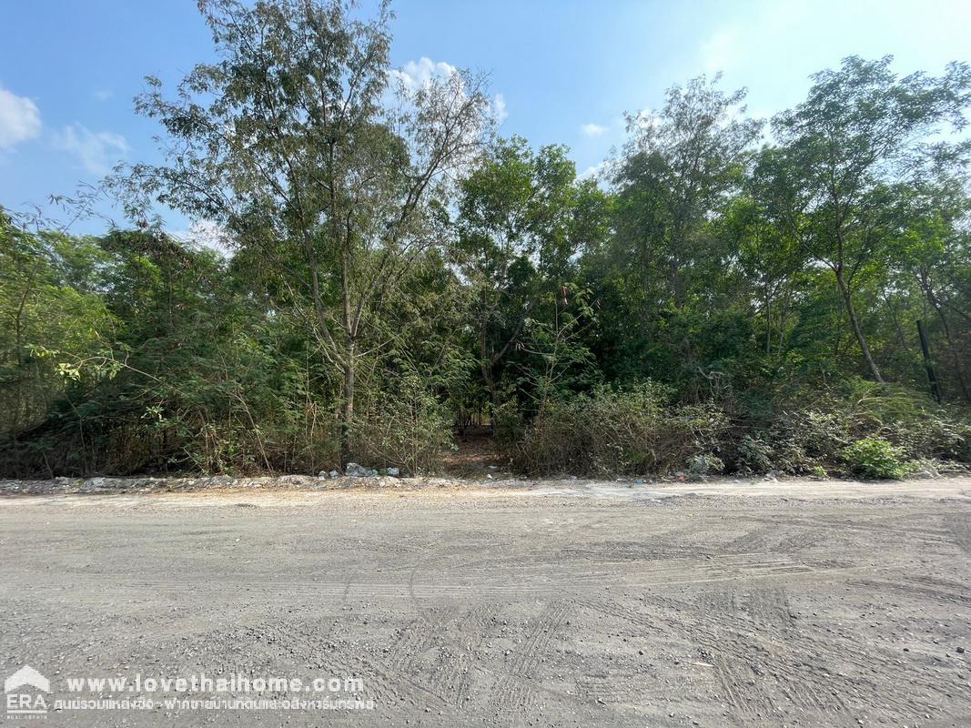 ขายที่ดิน ใกล้ที่ทำการ อบต.หนองโรง อำเภอหนองแค สระบุรี พื้นที่4ไร่ ขายถูกกว่าราคาตลาด