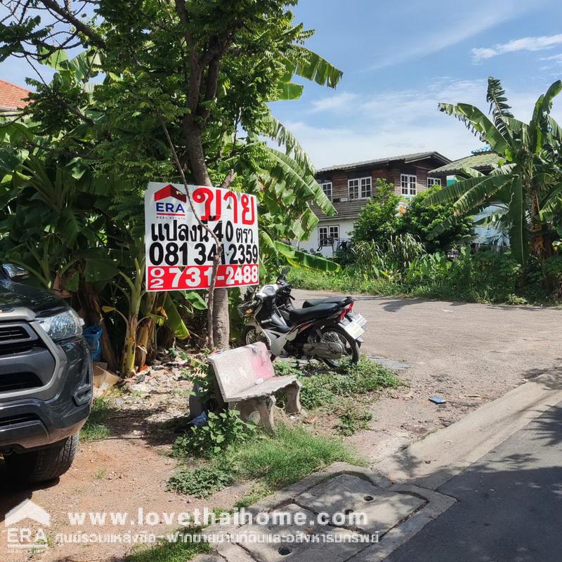 ขายที่ดินถูกมาก ซ.แสมดำ 3 บางขุนเทียน ใกล้ถนนพระราม 2 หลังวัดพรหมรังษี พื้นที่ 40 ตรว. ติดบ้านเช่าสีรุ่ง ล็อก 6 แปลงสวย