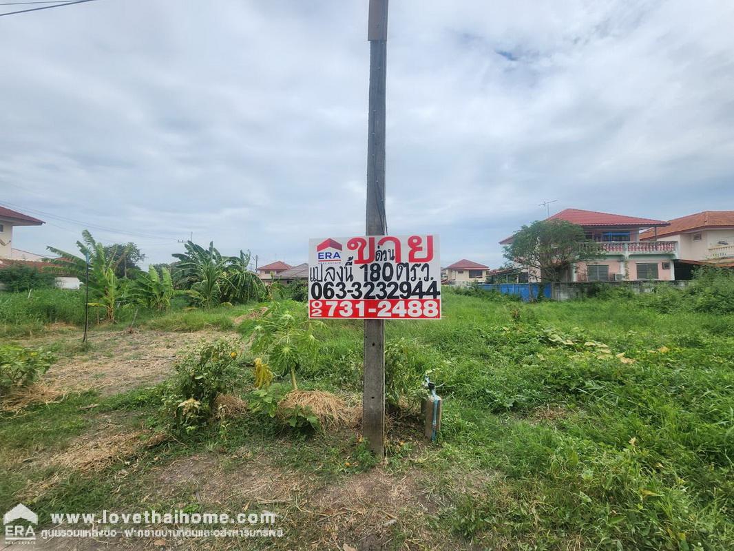 ขายที่ดิน หมู่บ้านอริสรา ลาดบัวหลวง ถ.ตลิ่งชัน-สุพรรณบุรี พื้นที่ 180 ตรว. มี 3 แปลงๆละ 60 ตรว. ถมแล้ว ขายรวมและแบ่งขาย เหมาะสร้างที่พักอาศัย ใกล้ตลาดลาดบัวหลวง