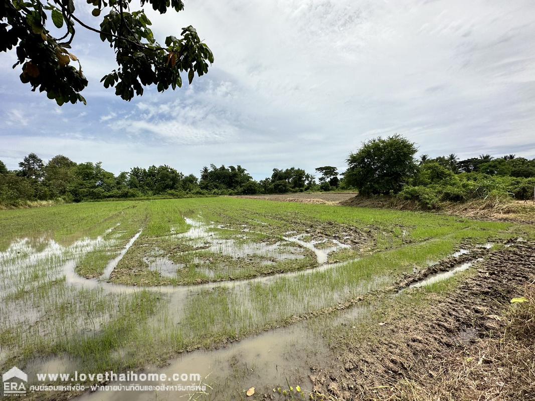 ขายที่ดิน ตำบลศิลา ถ.เลี่ยงเมืองขอนแก่น ใกล้โรงเรียนบ้านศิลา พื้นที่ 6-3-84.6 ไร่ ท้ายคลองซอย ที่ดินผืนสวย เหมาะแก่การลงทุน