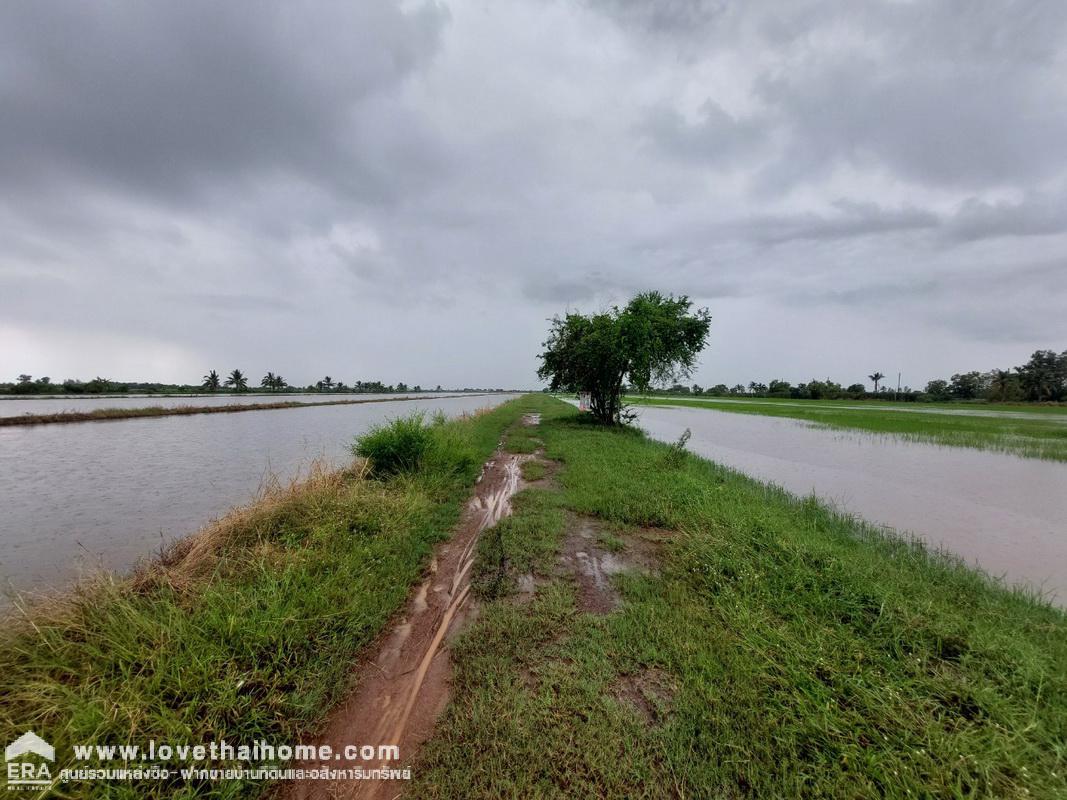 ขายที่ดิน องครักษ์ นครนายก ราคาไม่เกิน3แสนบาท ถูกมากๆ พื้นที่ 50 ตรว. เหมาะสำหรับบ้านสวน มี 2 แปลงติดกัน ขายตารางวาละ 5,000 บาท ใกล้บ้านสวนพนมไพรนครนายก