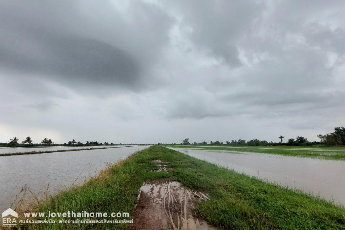 ขายที่ดิน องครักษ์ นครนายก ราคาไม่เกิน3แสนบาท ถูกมากๆ พื้นที่ 50 ตรว. เหมาะสำหรับบ้านสวน มี 2 แปลงติดกัน ขายตารางวาละ 5,000 บาท ใกล้บ้านสวนพนมไพรนครนายก