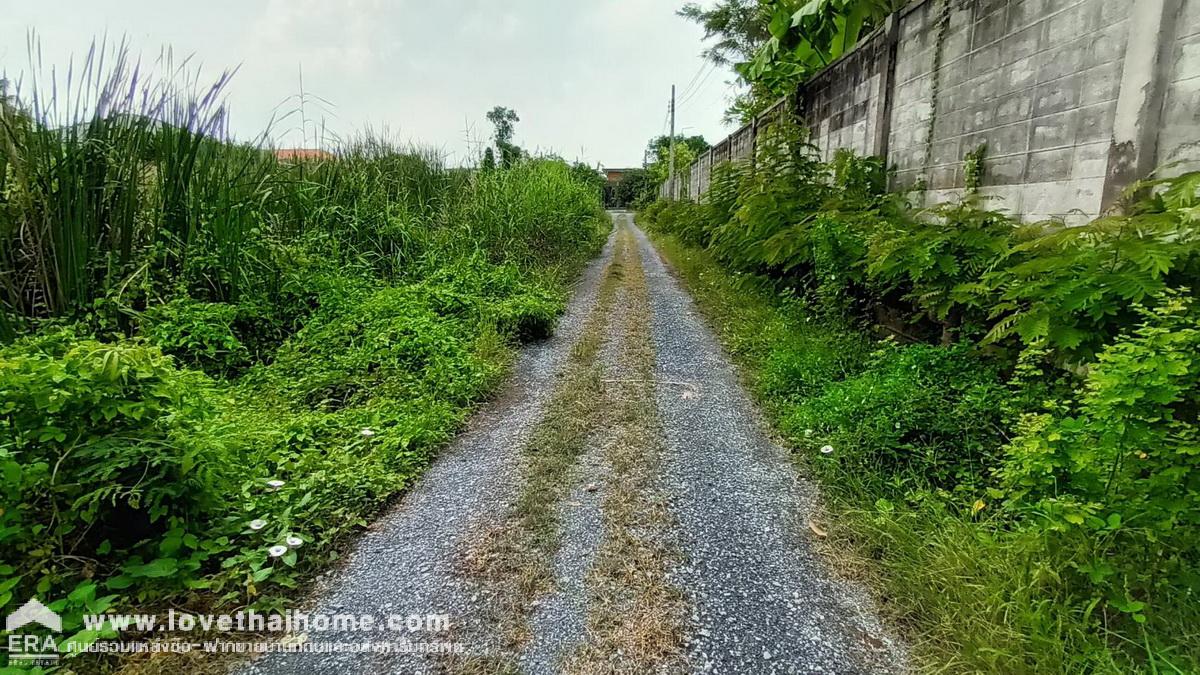 ขายที่ดิน ซ.วัดส้มเกลี้ยง บางใหญ่นนทบุรี เข้าซอย 100 เมตร พื้นที่ 472 ตรว. ขายถูกมาก เหมาะสำหรับสร้างบ้านเดี่ยว,ออฟฟิศ,โกดัง,โรงงาน