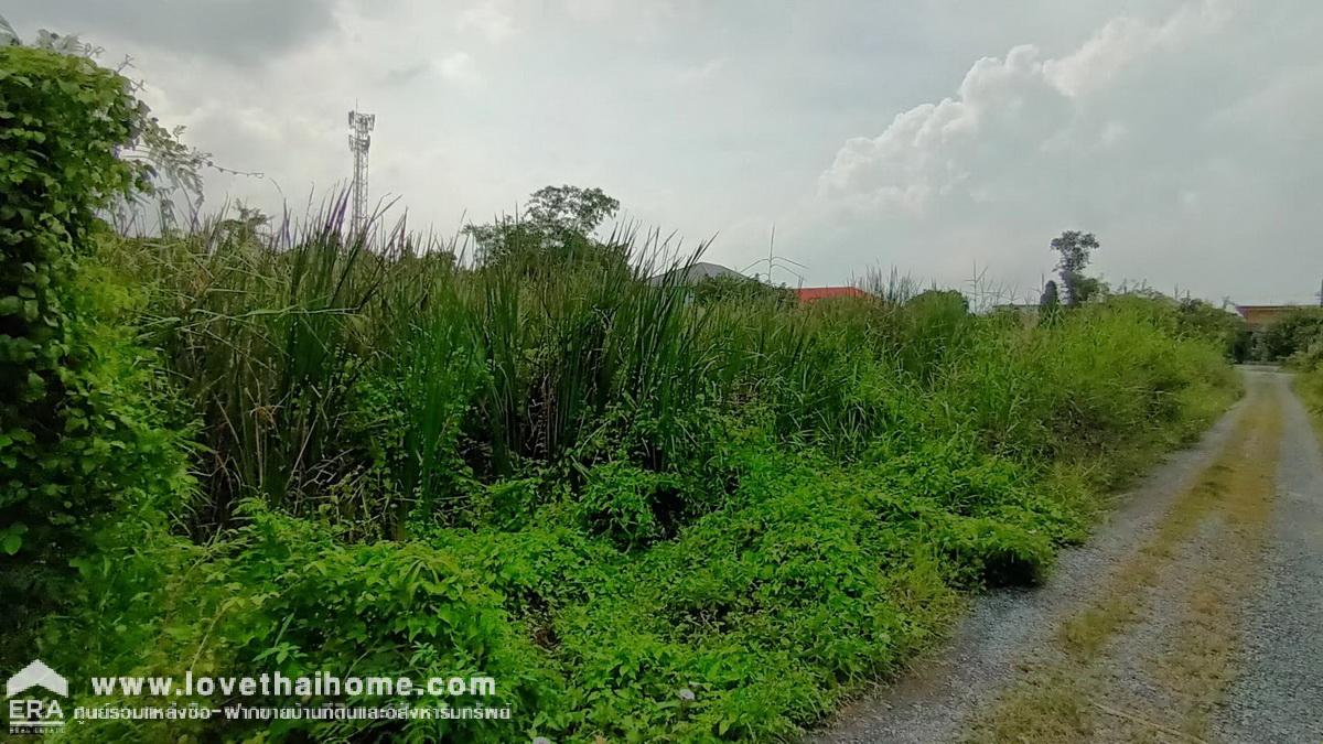 ขายที่ดิน ซ.วัดส้มเกลี้ยง บางใหญ่นนทบุรี เข้าซอย 100 เมตร พื้นที่ 472 ตรว. ขายถูกมาก เหมาะสำหรับสร้างบ้านเดี่ยว,ออฟฟิศ,โกดัง,โรงงาน