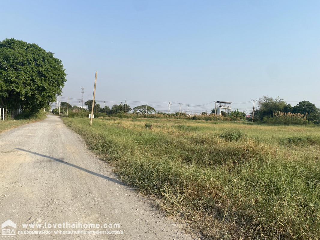 ให้เช่าที่ดินใกล้ถนนใหญ่คุ้มเกล้า เพียง 100 เมตร พื้นที่ 4-0-73 ไร่ ทำเลทอง น่าลงทุน ใกล้โรงเรียนเซนต์มารีอา มีนบุรี