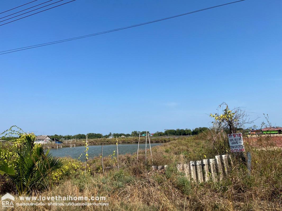 ขายที่ดิน ติดถนนชายทะเล-บางขุนเทียน พื้นที่ 20-3-78.1 ไร่ ราคาพิเศษสุดๆ ด่วนๆภายในปีนี้ ขายเพียง 6 ล้าน/ไร่ เหมาะทำธุรกิจ,โรงแรม,รีสอร์ท,โครงการบ้านจัดสรร อย่างสวย บรรยากาศดีมากๆ