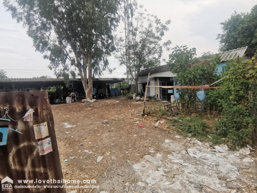 ขายที่ดิน ถนนลำลูกกา ซอยเลียบคลองสี่ 6 พื้นที่ 190 ตรว. พร้อมสัญญาเช่า AIS 5 ปี ที่ถมแล้ว ถ้าชอบต่อรองได้ ห่างถนนลำลูกกา 1 กิโลเมตร