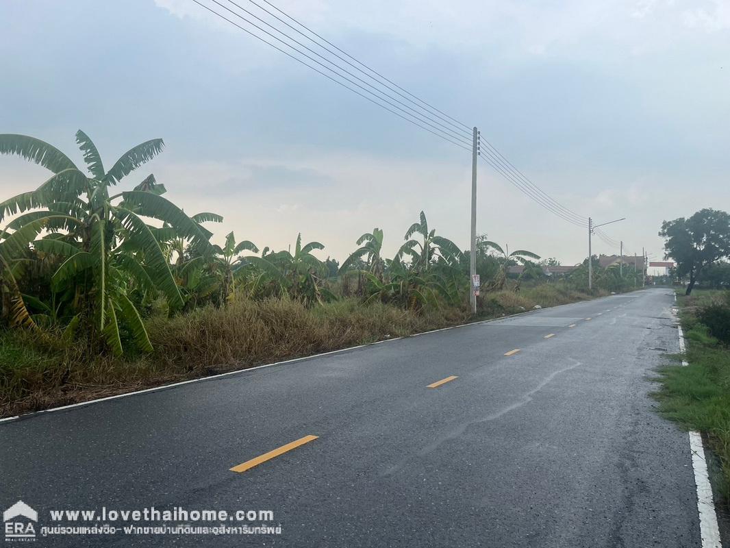 ขายที่ดินเปล่า ใกล้ถนนกาญจนาภิเษก บางหลวง ปทุมธานี พื้นที่ 2 ไร่ 1 งาน ขาย 13,000 บาท/ตรว. ที่สวย ถมแล้ว ถนนกว้าง 10 เมตร เข้าซอยไม่ลึก สภาพแวดล้อมดี ขายถูกกว่าทุกแปลงในย่านนี้