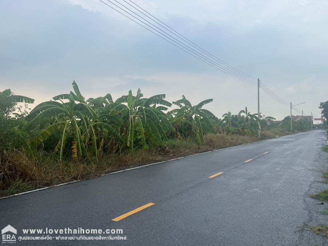 ขายที่ดินเปล่า ใกล้ถนนกาญจนาภิเษก บางหลวง ปทุมธานี พื้นที่ 2 ไร่ 1 งาน ขาย 13,000 บาท/ตรว. ที่สวย ถมแล้ว ถนนกว้าง 10 เมตร เข้าซอยไม่ลึก สภาพแวดล้อมดี ขายถูกกว่าทุกแปลงในย่านนี้