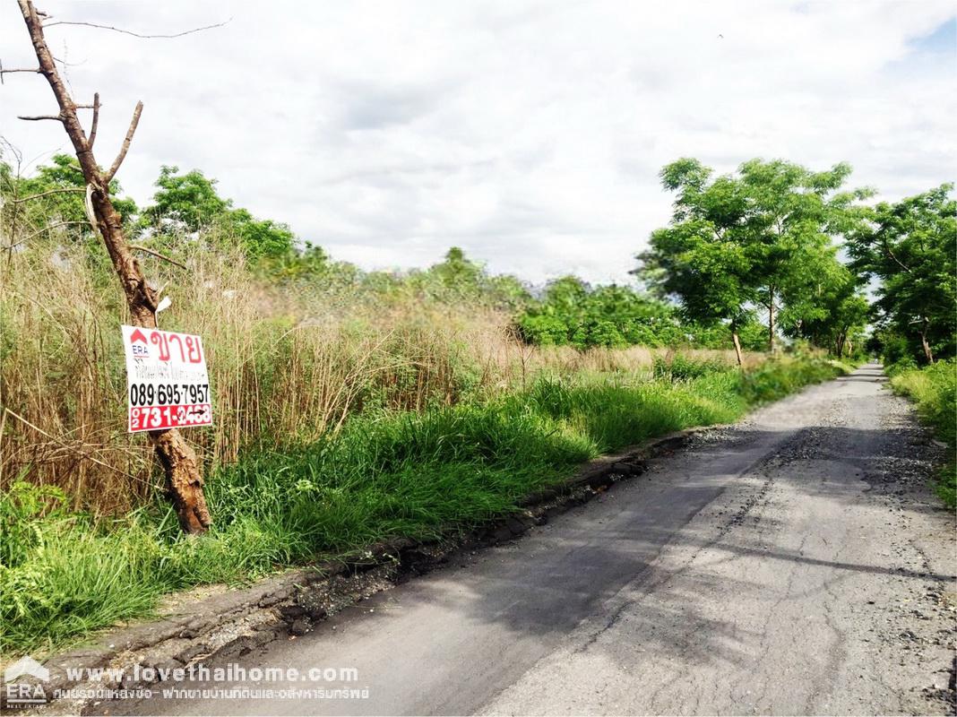 ขายที่ดิน ถ.รังสิต-นครนายก คลอง9 (ซอย รพ.ส่งเสริมสุขภาพ ) ต.ลำผักกูด ธัญบุรี พื้นที่ 100 ตรว. ราคาถูกเท่าประเมิน ใกล้วัดอัยยิการาม