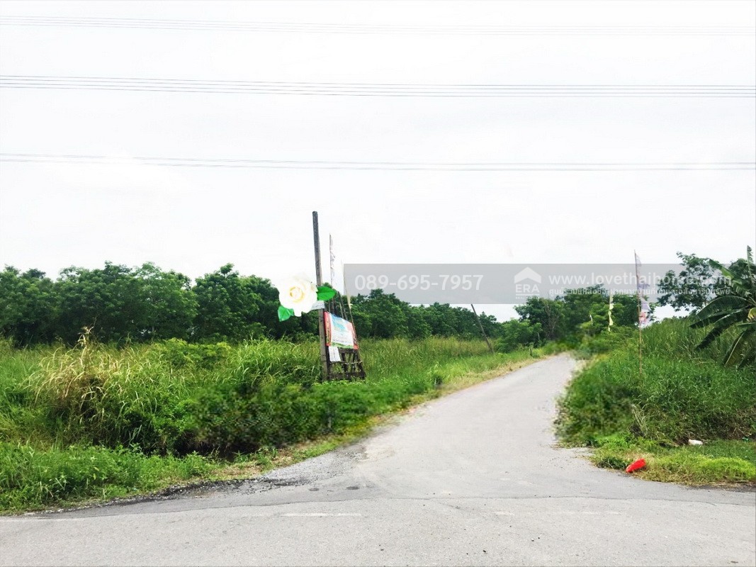 ขายที่ดิน 100 ตร.วา ถ.รังสิต-นครนายก คลอง 9 (ซอย รพ.ส่งเสริมสุขภาพ) ต.ลำผักกูด ธัญบุรี จ.ปทุมธานี ราคาถูกกว่าประเมิน ใกล้วัดอัยยิการาม
