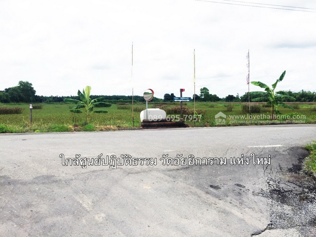 ขายที่ดิน 100 ตร.วา ถ.รังสิต-นครนายก คลอง 9 (ซอย รพ.ส่งเสริมสุขภาพ) ต.ลำผักกูด ธัญบุรี จ.ปทุมธานี ราคาถูกกว่าประเมิน ใกล้วัดอัยยิการาม