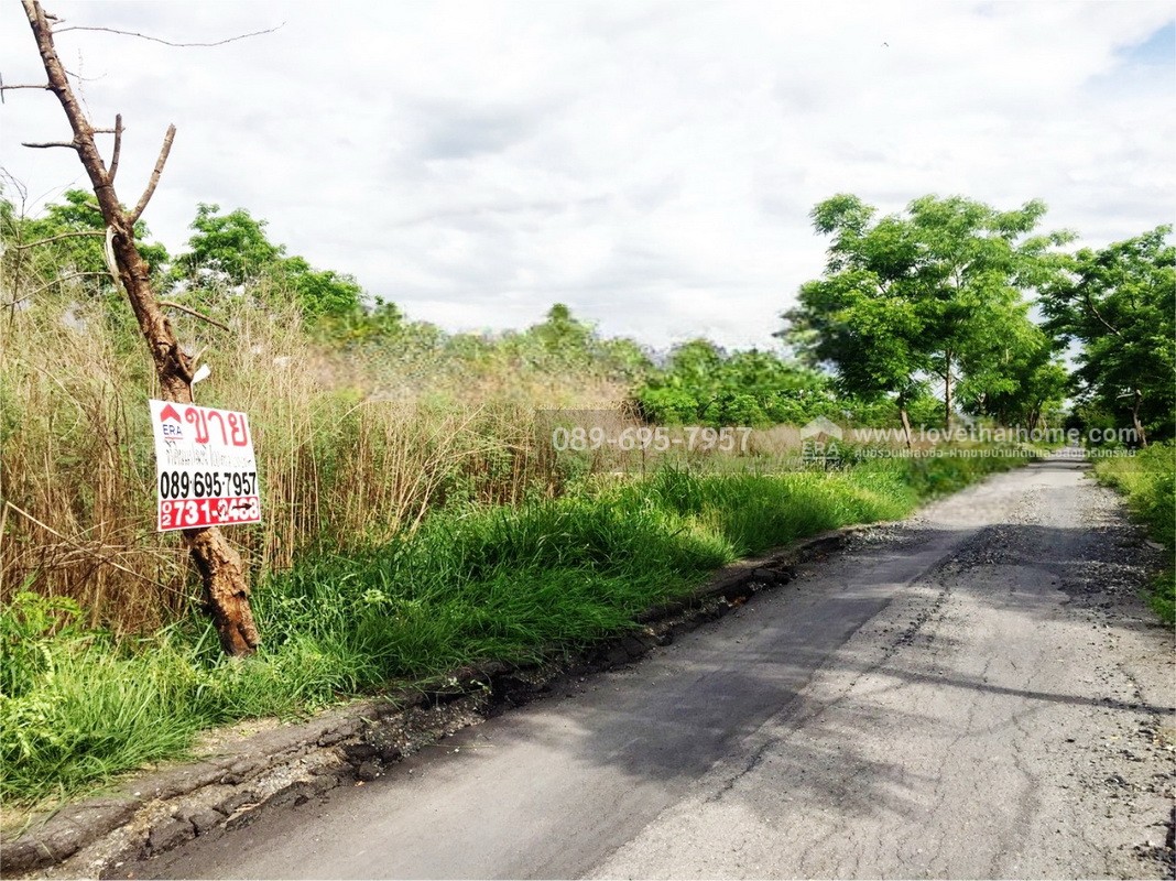 ขายที่ดิน 100 ตร.วา ถ.รังสิต-นครนายก คลอง 9 (ซอย รพ.ส่งเสริมสุขภาพ) ต.ลำผักกูด ธัญบุรี จ.ปทุมธานี ราคาถูกกว่าประเมิน ใกล้วัดอัยยิการาม
