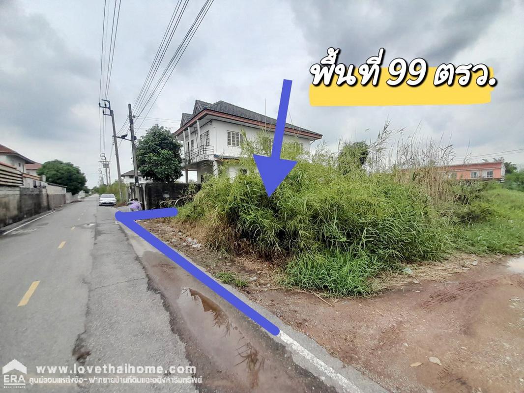 ขายที่ดิน ติดถนนบางกรวย-ไทรน้อย แปลงสวย 99 ตร.ว. ราคาพิเศษ/ต่อรองได้อีก ทำเลทอง ติดหมู่บ้านบัวทองแลนด์ เดินทางสะดวก ใกล้สิ่งอำนวยความสะดวกมากมาย