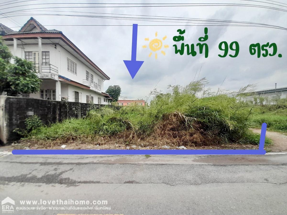 ขายที่ดินราคาถูก ติดถนนบางกรวย-ไทรน้อย แปลงสวย 99 ตร.ว. ราคาพิเศษ/ต่อรองได้อีก ทำเลทอง ติดหมู่บ้านบัวทองแลนด์ เดินทางสะดวก ใกล้สิ่งอำนวยความสะดวกมากมาย