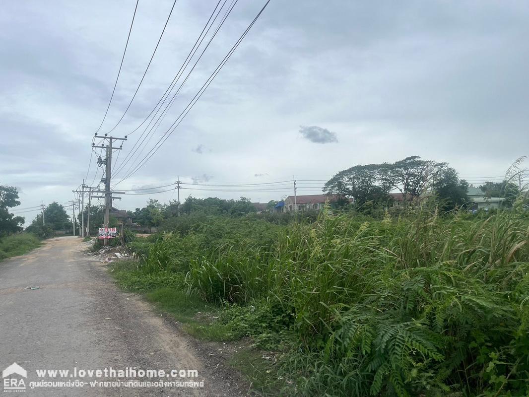 ขายที่ดิน ถนนรังสิต-นครนายก คลอง2 พื้นที่ 108 ตรว. ขายเพียง 1.29 ล้านบาทเท่านั้น ขายเท่าราคาประเมิน ถูกกว่ากว่านี้ไม่มีอีกแล้ว ใกล้ฟิวเจอร์พาร์ค รังสิต อ.ธัญบุรี จ.ปทุมธานี