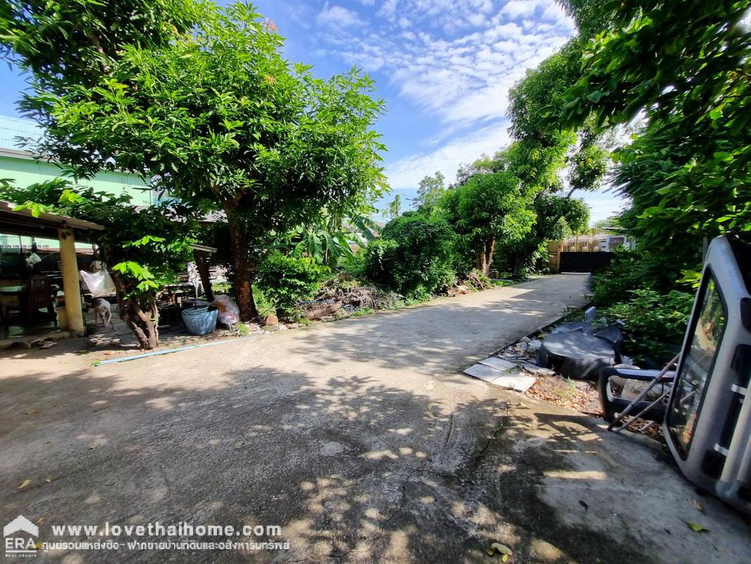 ขายที่ดิน ซ.นนทบุรี46 (ซอยไทยานนท์7) ทะลุออก ซ.นนทบุรี48 (ซอยพงษ์สวัสดิ์7) ได้ พื้นที่ 203 ตรว. สนามบินน้ำ ใกล้รถไฟฟ้าสายสีชมพู 5 นาที