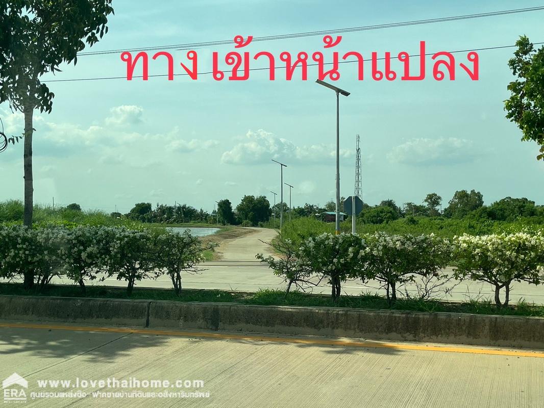 ขายที่ดิน ถนนรัตนโกสินทร์ 200 ปี ซอยนิคมอุตสาหกรรมเอเชีย ที่บ่อปลา 3 บ่อ ขายถูก  ติดถนนสาธารณะประโยชน์กว้าง 6 เมตร รวม 3 แปลง 3 โฉนด พื้นที่ 13-3-80.7 ไร่ ในนิคมอุตสาหกรรมเอเชีย (ASIA INDUSTRIAL ESTATE)