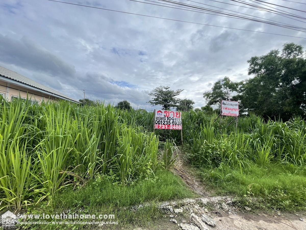 ขายที่ดินถมแล้ว หมู่บ้านเมืองเอก ซอยเอกรัฐ 12 ถนนพหลโยธิน พื้นที่ 104 ตรว. ใกล้มหาวิทยาลัยรังสิต ขายต่ำกว่าราคาประเมิน 