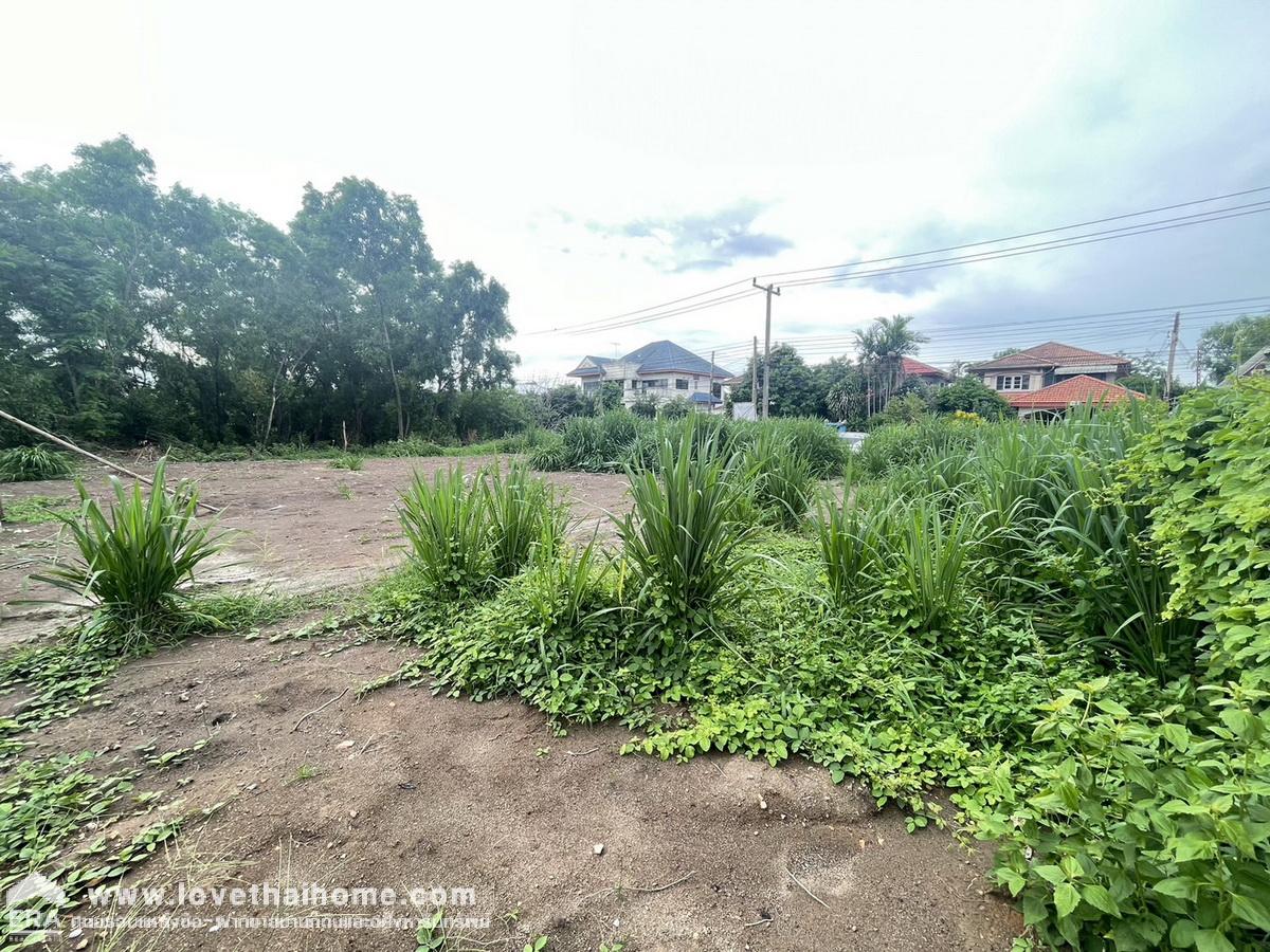 ขายที่ดินถมแล้ว หมู่บ้านเมืองเอก ซอยเอกรัฐ 12 ถนนพหลโยธิน พื้นที่ 104 ตรว. ใกล้มหาวิทยาลัยรังสิต ขายต่ำกว่าราคาประเมิน 