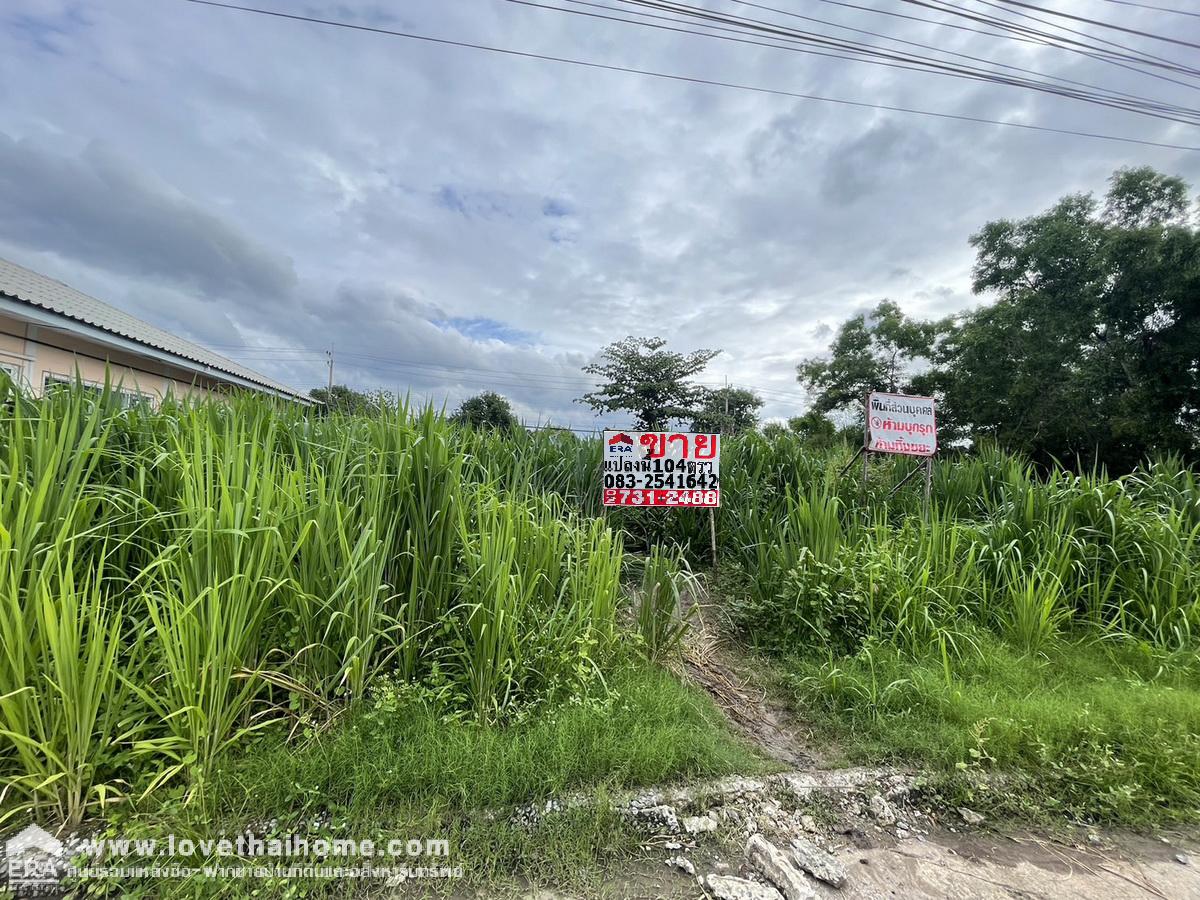 ขายที่ดินถมแล้ว หมู่บ้านเมืองเอก ซอยเอกรัฐ 12 ถนนพหลโยธิน พื้นที่ 104 ตรว. ใกล้มหาวิทยาลัยรังสิต ขายต่ำกว่าราคาประเมิน 