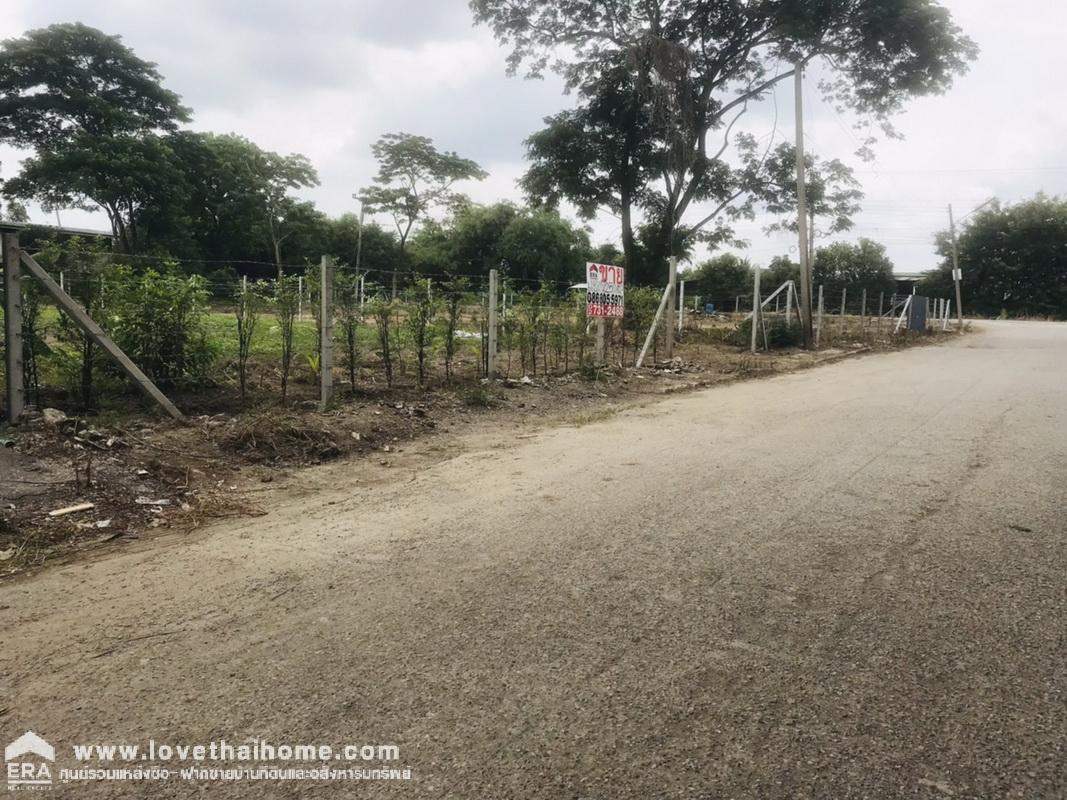 ขายที่ดินหมู่บ้านชวนชมปาร์ควิลล์ สามโคก ซ.วัดตระพัง-คลองเรือ ปทุมธานี พื้นที่ 250 ตรว. ที่ดินถมแล้ว ราคาต่อรองได้