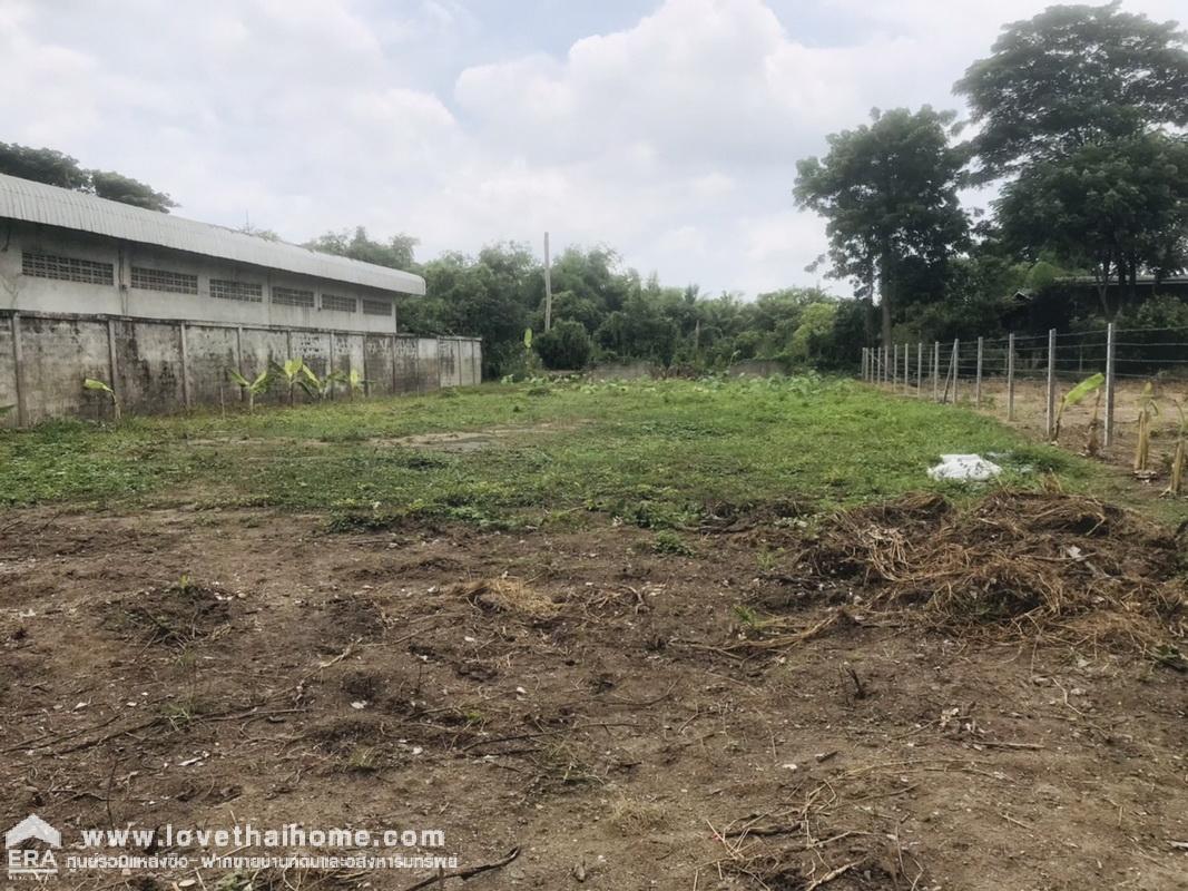 ขายที่ดินหมู่บ้านชวนชมปาร์ควิลล์ สามโคก ซ.วัดตระพัง-คลองเรือ ปทุมธานี พื้นที่ 250 ตรว. ที่ดินถมแล้ว ราคาต่อรองได้