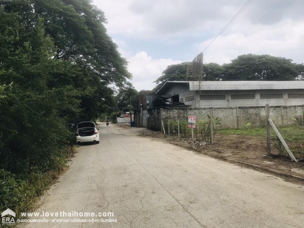 ขายที่ดินหมู่บ้านชวนชมปาร์ควิลล์ สามโคก ซ.วัดตระพัง-คลองเรือ ปทุมธานี พื้นที่ 250 ตรว. ที่ดินถมแล้ว ราคาต่อรองได้