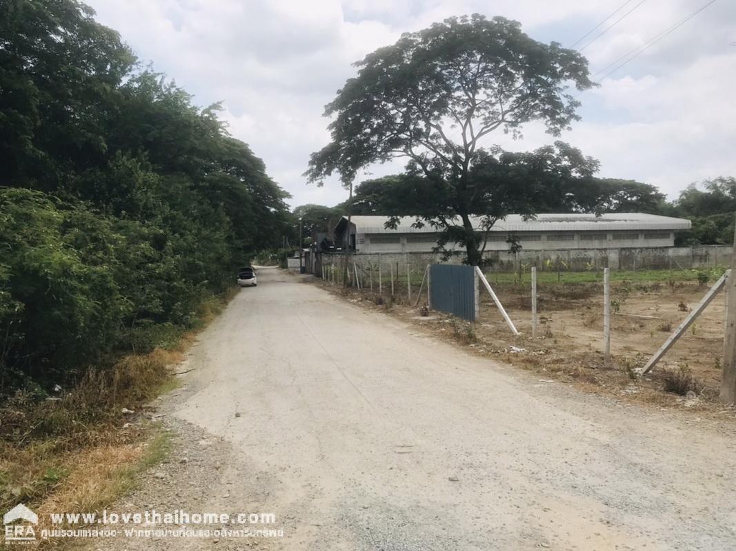 ขายที่ดินหมู่บ้านชวนชมปาร์ควิลล์ สามโคก ซ.วัดตระพัง-คลองเรือ ปทุมธานี พื้นที่ 250 ตรว. ที่ดินถมแล้ว ราคาต่อรองได้