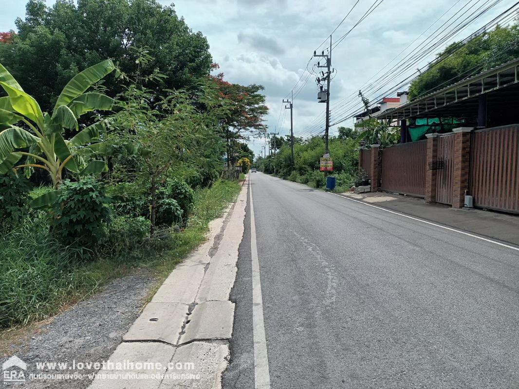 ขายที่ดิน ซอยคลองสาม 6/5 (ทรัพย์สำราญ) คลองหลวง ปทุมธานี ใกล้วัดพระธรรมกาย ห่างแค่กิโลกว่าๆ พื้นที่ 60 ตรว. ราคาถูกมาก จองด่วน