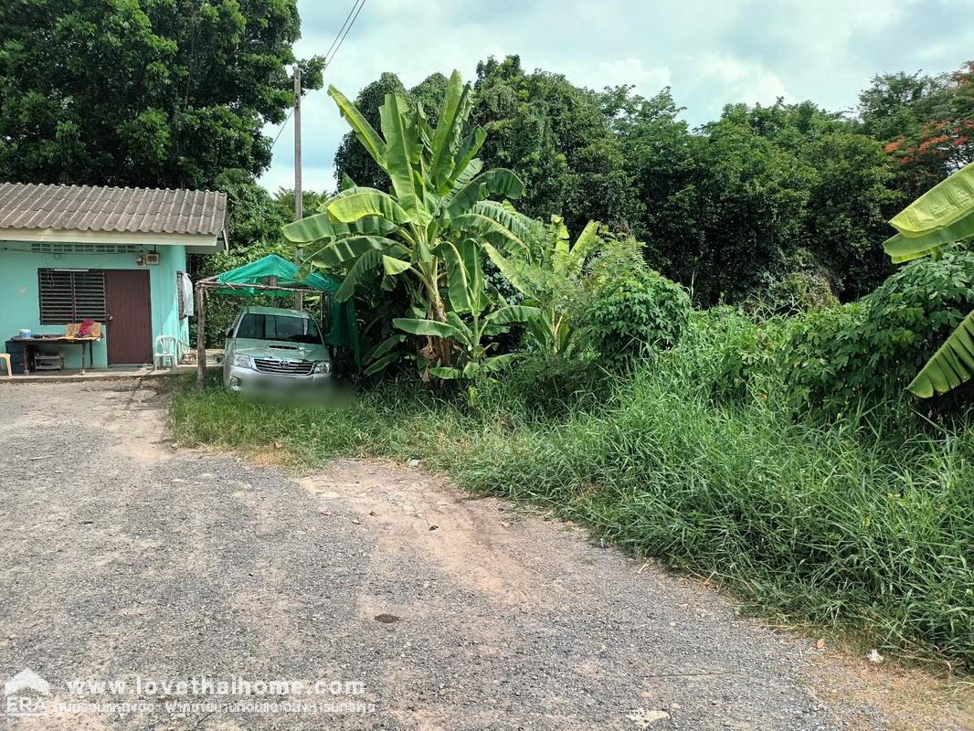 ขายที่ดิน ซอยคลองสาม 6/5 (ทรัพย์สำราญ) คลองหลวง ปทุมธานี ใกล้วัดพระธรรมกาย ห่างแค่กิโลกว่าๆ พื้นที่ 60 ตรว. ราคาถูกมาก จองด่วน