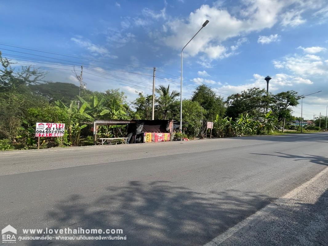 ขายที่ดิน ถนนธัญบุรี-วังน้อย ติดถนนตัดใหม่ไปวังน้อย ใกล้คลองระพีพัฒน์ พื้นที่ 49-1-59 ไร่ หน้ากว้างติดถนนใหญ่ 55.5 ม. ลึก 1,746 ม.