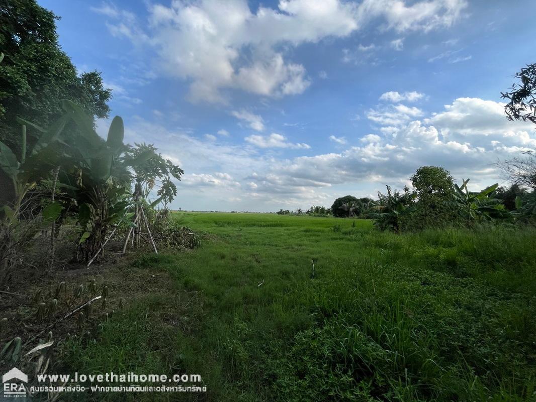 ขายที่ดิน ถนนธัญบุรี-วังน้อย ติดถนนตัดใหม่ไปวังน้อย ใกล้คลองระพีพัฒน์ พื้นที่ 49-1-59 ไร่ หน้ากว้างติดถนนใหญ่ 55.5 ม. ลึก 1,746 ม.