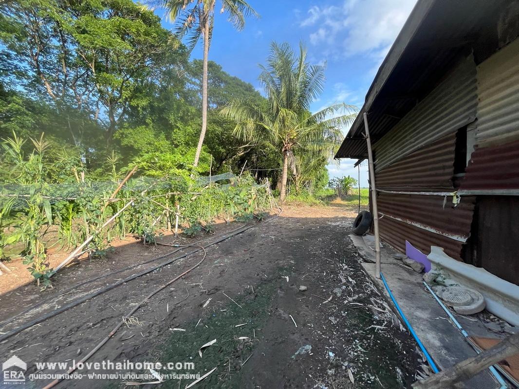 ขายที่ดิน ถนนธัญบุรี-วังน้อย ติดถนนตัดใหม่ไปวังน้อย ใกล้คลองระพีพัฒน์ พื้นที่ 49-1-59 ไร่ หน้ากว้างติดถนนใหญ่ 55.5 ม. ลึก 1,746 ม.