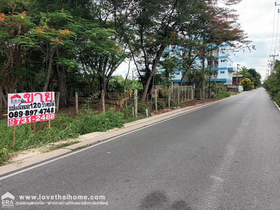 ขายที่ดิน ซอยคลองสาม 6/5 (ทรัพย์สำราญ) คลองหลวง ปทุมธานี ใกล้วัดพระธรรมกาย ห่างแค่กิโลกว่าๆ พื้นที่ 120 ตรว. จองด่วน