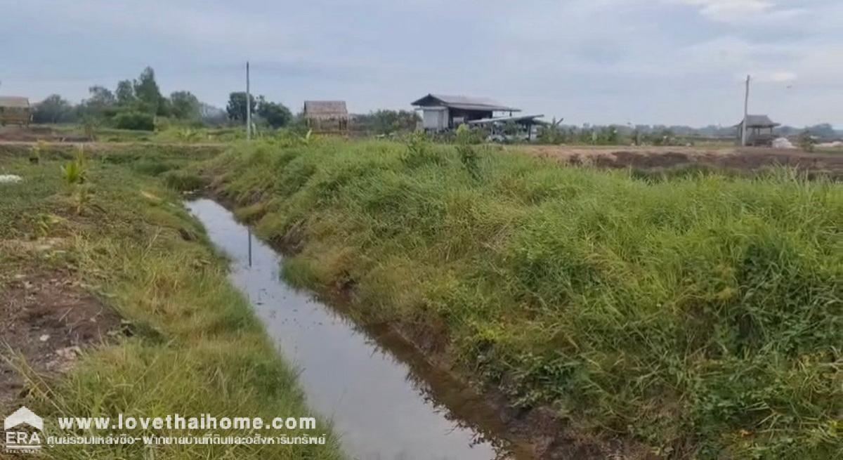 ขายที่ดินพร้อมบ้าน เสนา พระนครศรีอยุธยา บรรยากาศสไตล์โคกหนองนาโมเดล พื้นที่ 2 ไร่ 1 งาน ที่ดินเพื่อการเกษตร และพักผ่อน