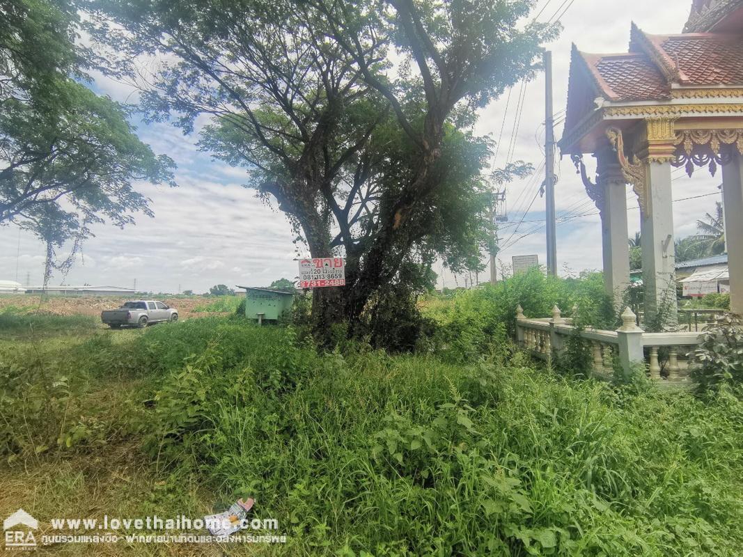 ขายที่ดิน ขุนศรี ไทรน้อย นนทบุรี ปากทางวัดสโมสร ถนนปทุมธานี-บางเลน(346) ติดถนน 2 ด้าน พื้นที่ 20-2-50 ไร่