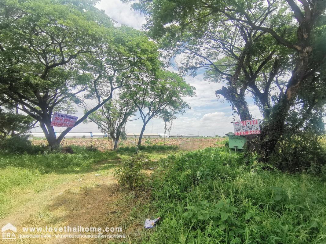 ขายที่ดิน ขุนศรี ไทรน้อย นนทบุรี ปากทางวัดสโมสร ถนนปทุมธานี-บางเลน(346) ติดถนน 2 ด้าน พื้นที่ 20-2-50 ไร่