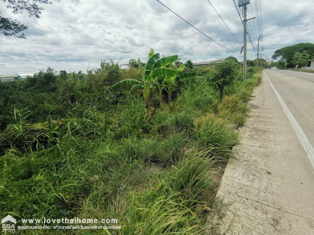 ขายที่ดิน ขุนศรี ไทรน้อย นนทบุรี ปากทางวัดสโมสร ถนนปทุมธานี-บางเลน(346) ติดถนน 2 ด้าน พื้นที่ 20-2-50 ไร่