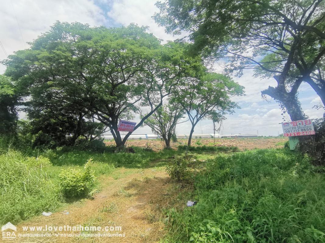 ขายที่ดิน ขุนศรี ไทรน้อย นนทบุรี ปากทางวัดสโมสร ถนนปทุมธานี-บางเลน(346) ติดถนน 2 ด้าน พื้นที่ 20-2-50 ไร่