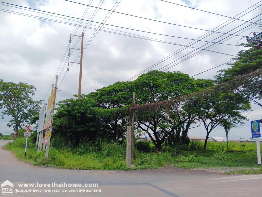 ขายที่ดิน ขุนศรี ไทรน้อย นนทบุรี ปากทางวัดสโมสร ถนนปทุมธานี-บางเลน(346) ติดถนน 2 ด้าน พื้นที่ 20-2-50 ไร่