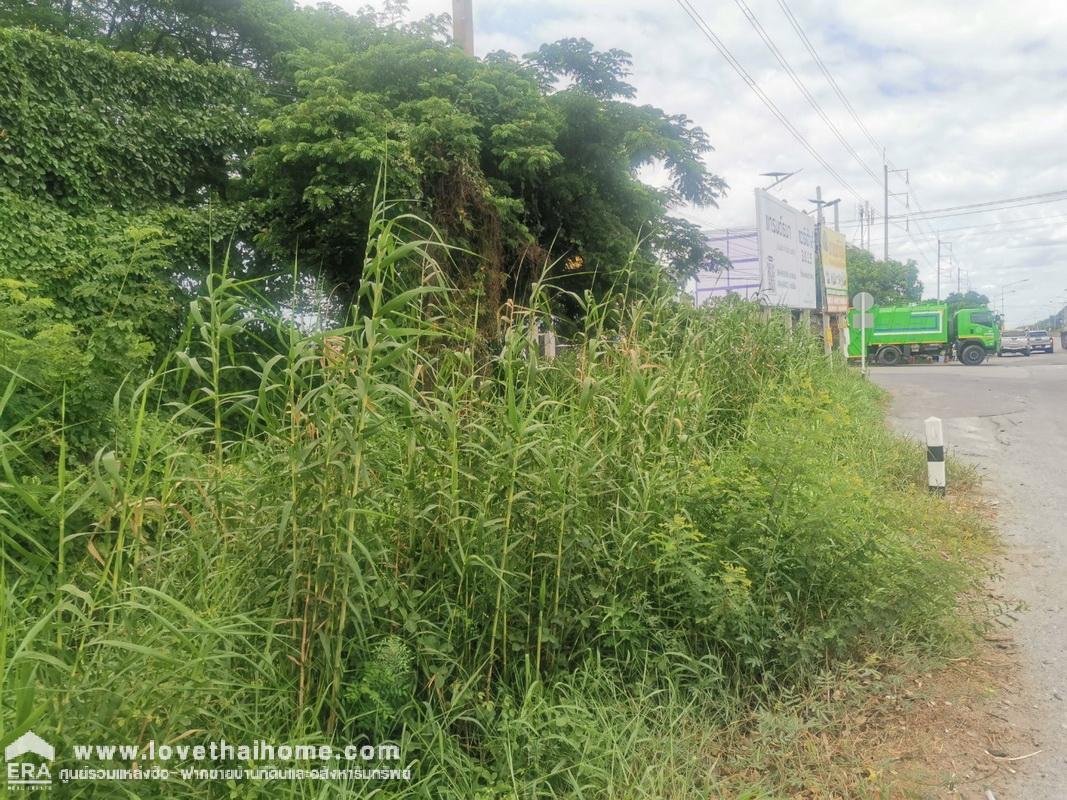 ขายที่ดิน ขุนศรี ไทรน้อย นนทบุรี ปากทางวัดสโมสร ถนนปทุมธานี-บางเลน(346) ติดถนน 2 ด้าน พื้นที่ 20-2-50 ไร่