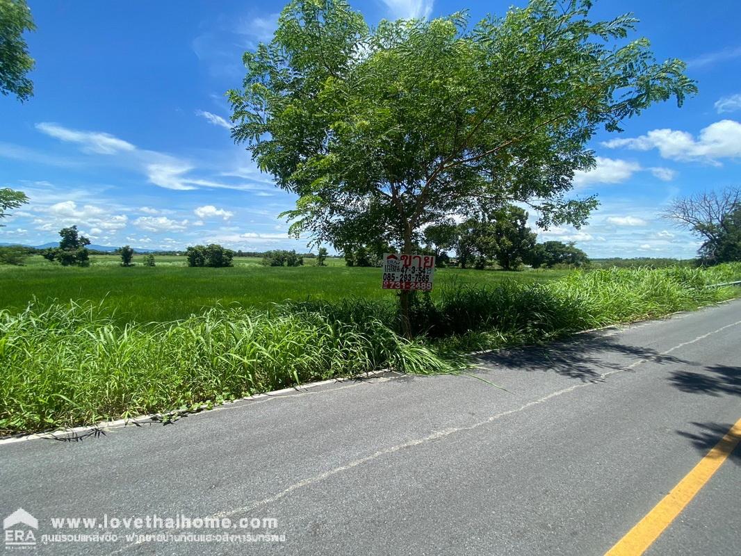 ขายที่ดิน รังสิต-นครนายก ใกล้วัดธรรมปัญญา ทางเข้าร้านอาหารครัวคุณรัช ปาป๊าฟาร์ม นครนายก พื้นที่ 47-3-54 ไร่ ขายถูกเพียง 500,000บาท/ไร่ ต้องการขายด่วน ราคาต่อรองได้